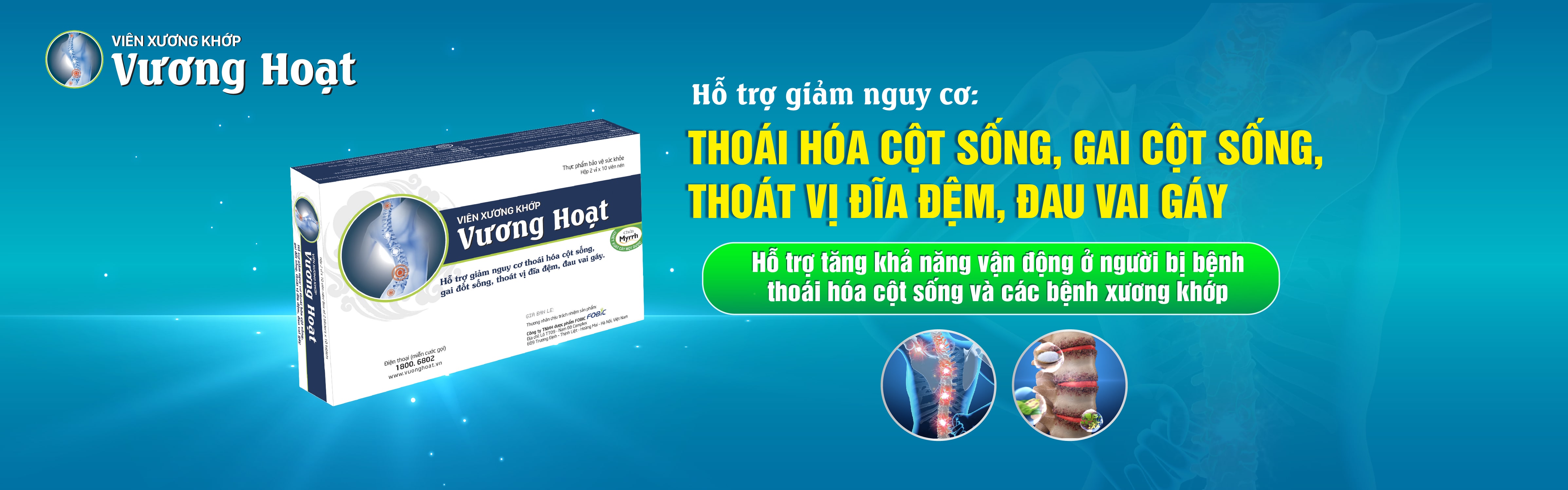 Viên xương khớp Vương Hoạt Viên xương khớp Vương Hoạt