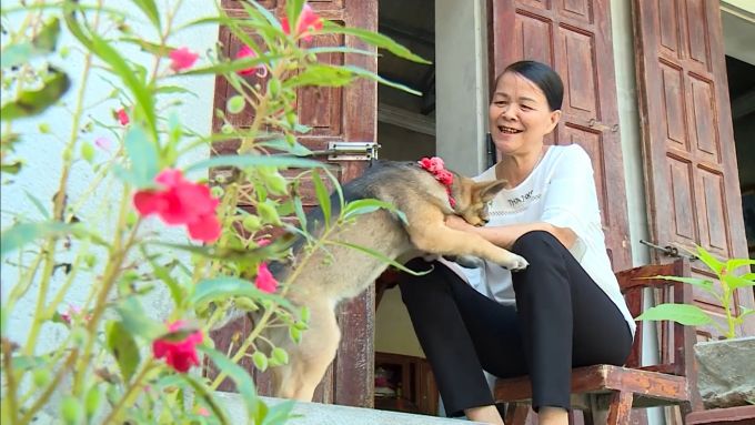 Viên xương khớp Vương Hoạt