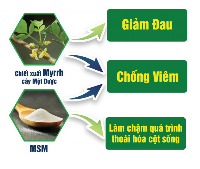 Viên xương khớp Vương Hoạt