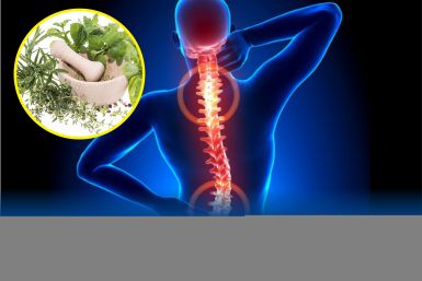 Viên xương khớp Vương Hoạt Viên xương khớp Vương Hoạt