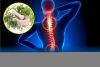 Viên xương khớp Vương Hoạt  Viên xương khớp Vương Hoạt